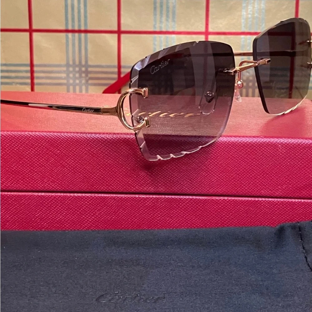 SOLD Cartier Black Big C Unisex Sunglasses - Picture 3 of 4